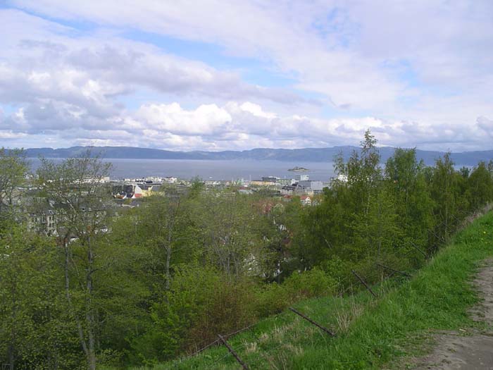 04IMGP4699