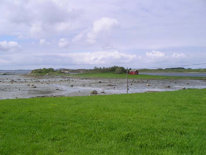 49IMGP4816